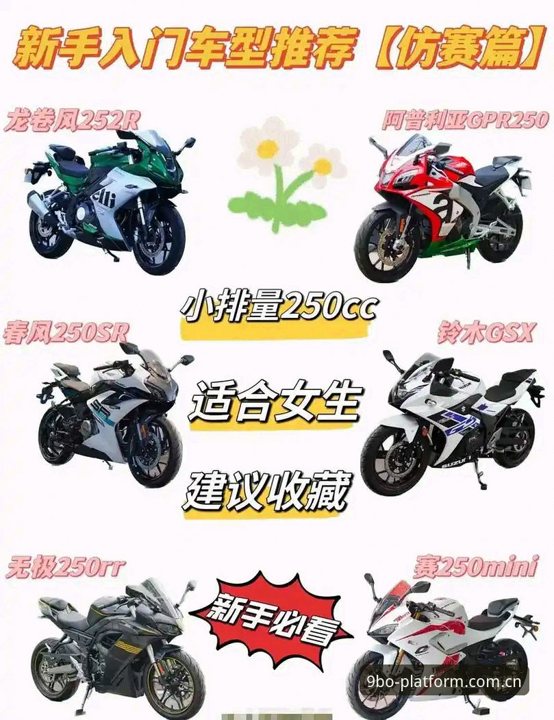 9博体育平台新手必看：博游戏大全完整使用指南